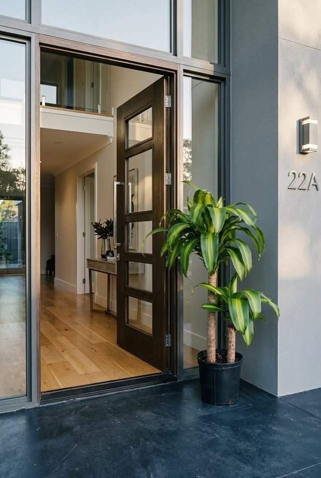 Potted two-tier Dracaena Mass Cane plant sitting beside a modern dark wood glass front entrance door