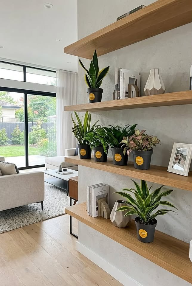 Small potted houseplants styled on floating oak shelves in a modern open-plan living room with floor-to-ceiling glass doors