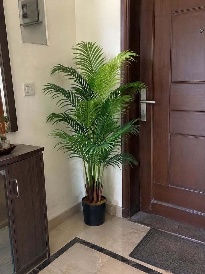 Lush artificial Areca palm tree in a simple black pot sitting in an entryway corner next to a wooden door
