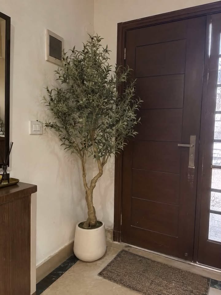  Large artificial faux olive tree with thick textured trunk in a white ceramic pot standing by a dark brown entryway door