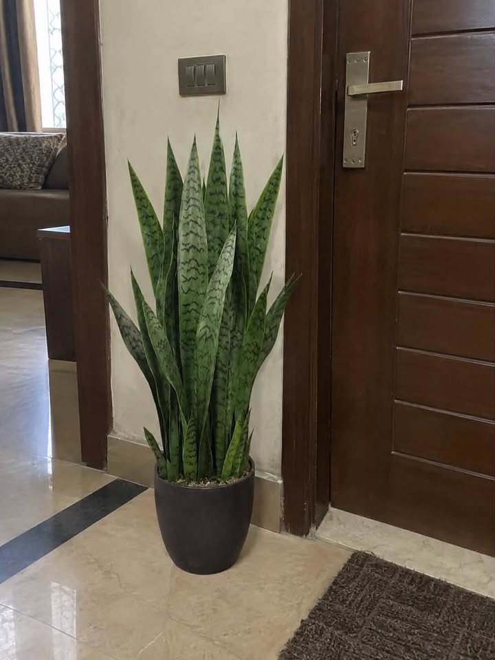Lush artificial fiddle leaf fig tree in a ribbed dark brown pot placed in a light entryway corner near the front door