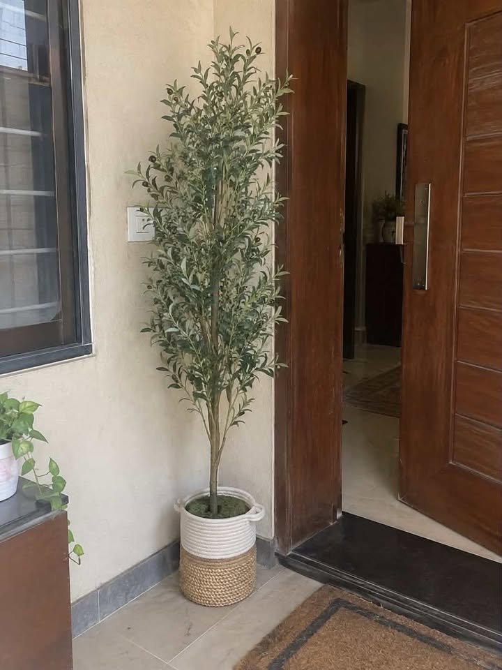 Slim artificial faux olive tree in a two-tone woven seagrass basket standing next to an open wooden front door entrance